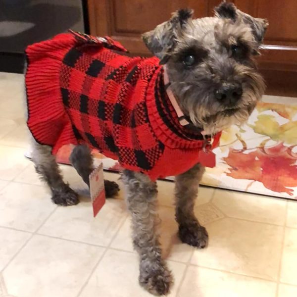 KYEESE Dog Sweater Red Buffalo Pattern with Bowtie for Small to 3L-3