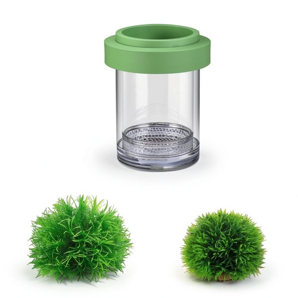 Betta Guppy Breeding Box for Fish Tank and Artificial Plants, Floating Guppy Breeding Box with Suction Cups, Acrylic Breeder Isolation Incubator for Aquarium Tank, Hatchery Breeder Chamber (Green, M)-6