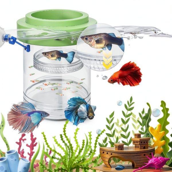 Betta Guppy Breeding Box for Fish Tank and Artificial Plants, Floating Guppy Breeding Box with Suction Cups, Acrylic Breeder Isolation Incubator for Aquarium Tank, Hatchery Breeder Chamber (Green, M)-4