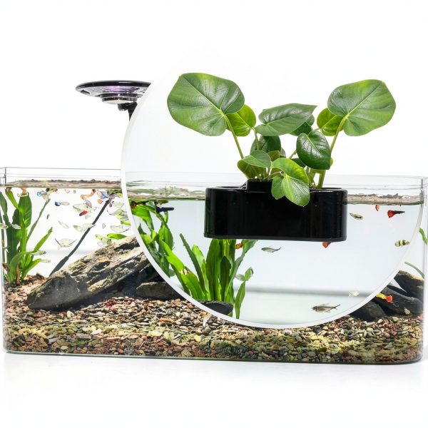Aquarium Plant Holder JUNHUI Black Rimless 1PCS ClipOn-4