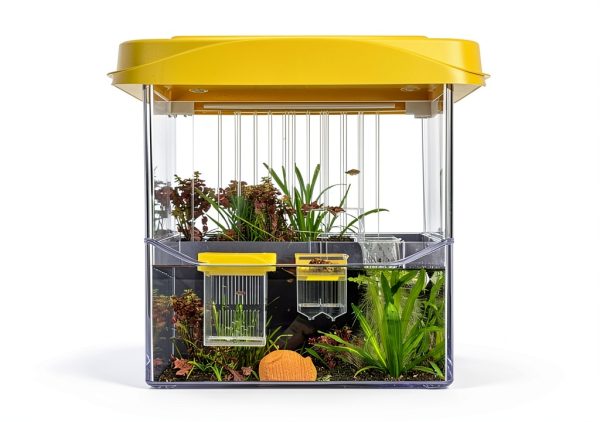 Floating Breeding Box VILLNO Hatchery Incubator Divider for Fish-5