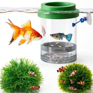 Betta Guppy Breeding Box for Fish Tank and Artificial Plants, Floating Guppy Breeding Box with Suction Cups, Acrylic Breeder Isolation Incubator for Aquarium Tank, Hatchery Breeder Chamber (Green, M)-0