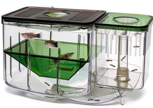 Penn-Plax Aqua Nursery Box for Aquarium Baby Fish Safety-0