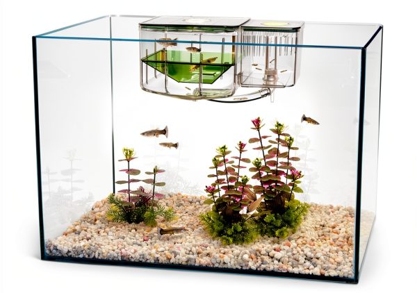 Penn-Plax Aqua Nursery Box for Aquarium Baby Fish Safety-1